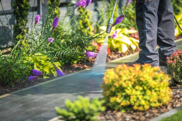 Professional Pressure Washing Services in Vandenberg Village, CA